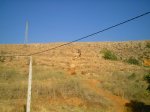 0003_105.jpg