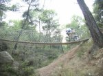 puente_de_los_dinosaurios.jpg