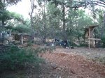 DSC07737.JPG