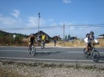 IMG_2038_redimensionar.jpg