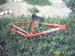PICT0035.jpg
