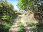 054-copia.jpg