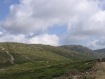 IMG_5011.JPG