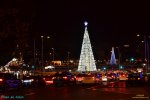 9-Colon.jpg