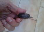20151219_161709.jpg