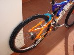 DSC05993.jpg