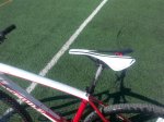 IMG_20150925_115119.jpg