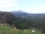 IMG_20151223_104651.jpg
