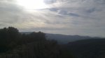 DSC_3976.jpg
