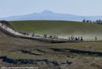 strade-bianche-2015.jpg