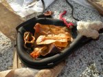 DSCN5925.JPG