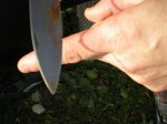DSCN5920.JPG