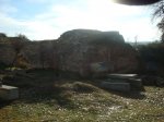 DSC08604.JPG