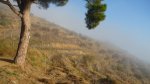 BURRIAC 27-12-2015 012.JPG
