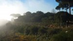 BURRIAC 27-12-2015 013.JPG