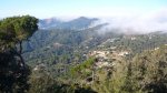 BURRIAC 27-12-2015 017.JPG