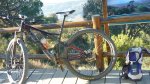 BURRIAC 27-12-2015 021.JPG