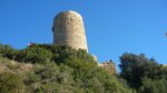 BURRIAC 27-12-2015 028.JPG