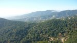 BURRIAC 27-12-2015 034.JPG