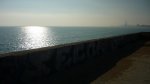 BURRIAC 27-12-2015 047.JPG