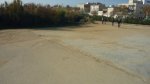 BURRIAC 27-12-2015 049.JPG