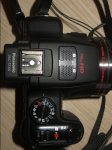 IMG_3310.JPG