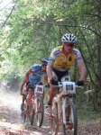 IMG_0179.jpg