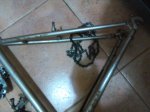 IMG_20160101_132937.jpg