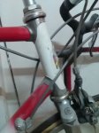 IMG-20151231-WA0017.jpg
