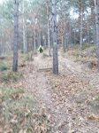 IMG-20151227-WA0034.jpg