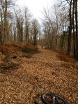 IMG-20151228-WA0029.jpg