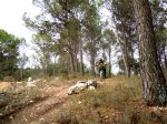 DSCN3782.JPG