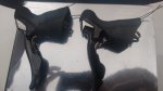 IMG_20160105_163325328.jpg