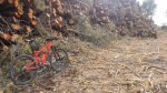 20160103_121454.jpg