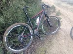 IMG_20160107_123350.jpg