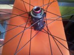 20151229_115904.jpg