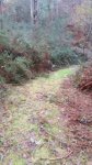 IMG-20160109-WA0008.jpg