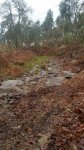 IMG-20160109-WA0001.jpg