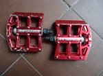 cousas venta commencal 022.JPG