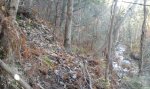 20151212_110158.jpg