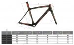 GEOMETRIA G5.jpg
