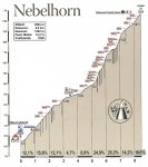 Nebelhorn.jpg
