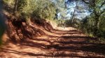 IMG-20160110-WA0066.jpg