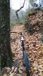 IMG_20160110_130912.jpg