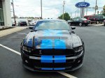 nw_800[1].jpg