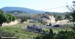 etixx16ah-trees-5-920.jpg