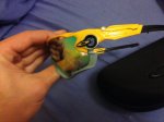 image.jpeg