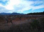 IMG_20160109_113634_AO_HDR.jpg