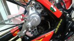 IMG-20160108-WA0007.jpg