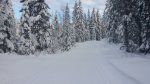 20160113_134901.jpg